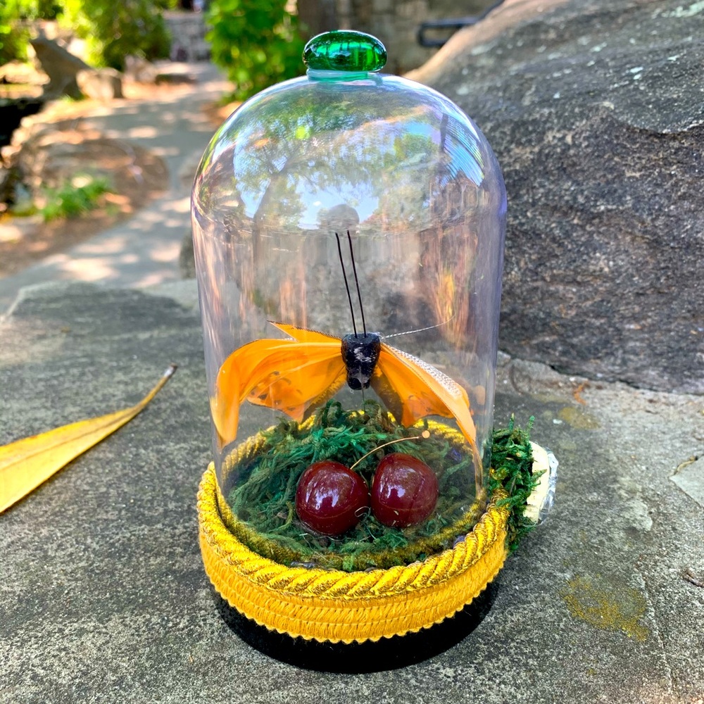 Butterfly and cherries specimen jar no.3